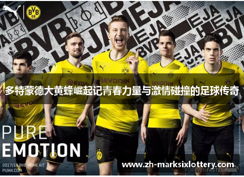 多特蒙德大黄蜂崛起记青春力量与激情碰撞的足球传奇